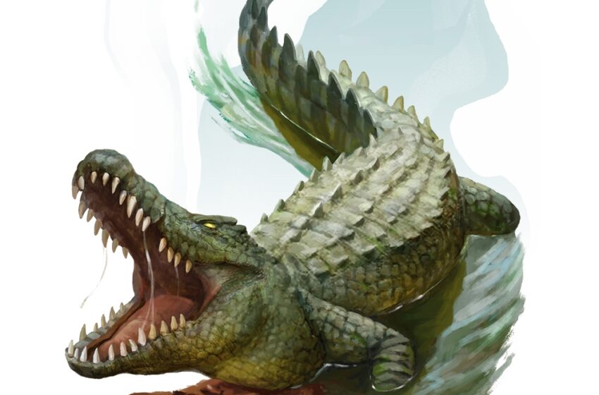  Five Little Known Facts About the Giant Crocodile 5E