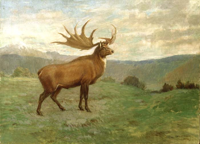  Foreshadowing of an Important Event, The Giant Elk 5e Ranger Vs The Ranger, Part 1