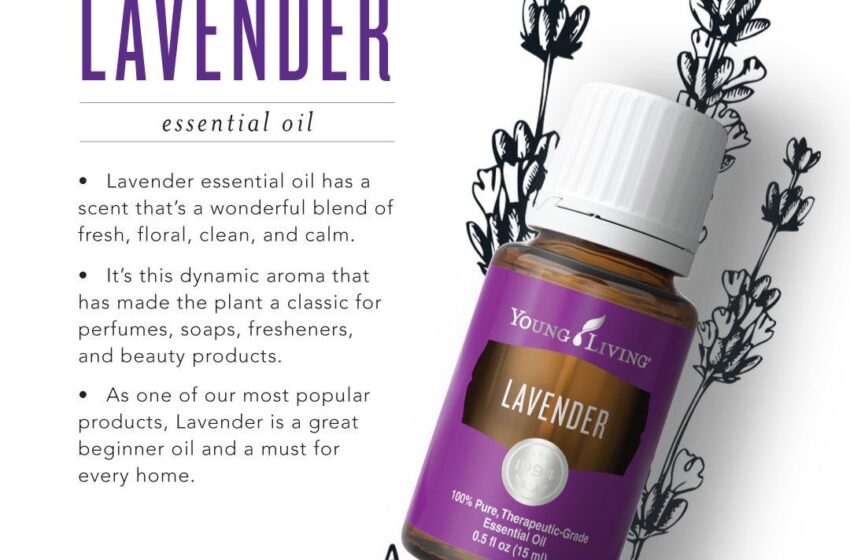  Lavender Essential Oil Benefits For Aromatherapy