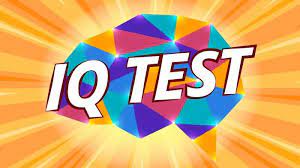  What is an IQ Test?