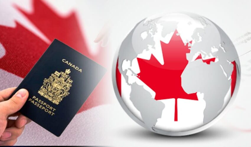  Expert Guidance For Your Immigration Consultant in Brampton