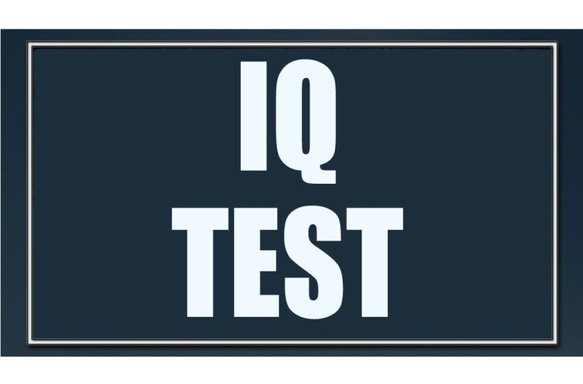  What is IQ TEST