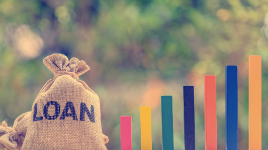 Navigating the Terrain: A Comprehensive Guide to Small Business Loans