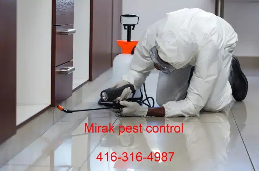  Effective Pest Control Solutions in Burlington by Mirak Pest Control